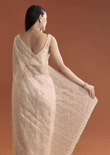 Beige Organza Embroidered Saree With Jaal And Butti Work