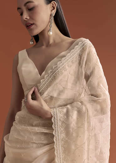 Beige Organza Embroidered Saree With Jaal And Butti Work