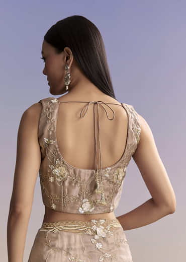 Beige Organza Embroidered Saree With Moti And Cutdana Work