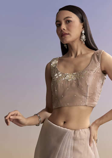 Beige Organza Embroidered Saree With Moti And Cutdana Work