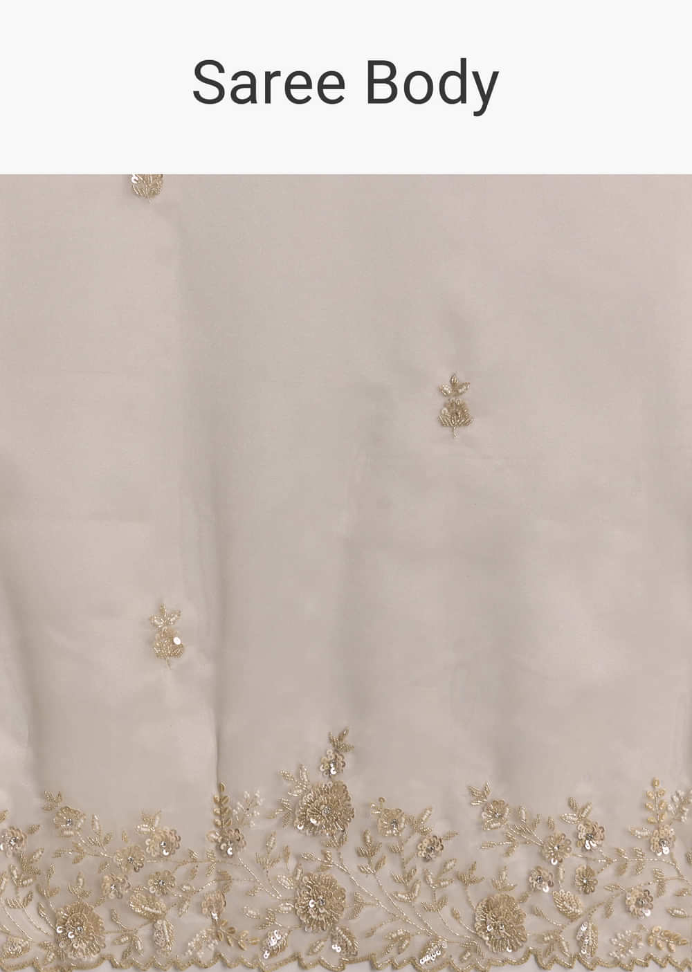 Beige Tissue Saree With Floral Embroidery And Beadwork