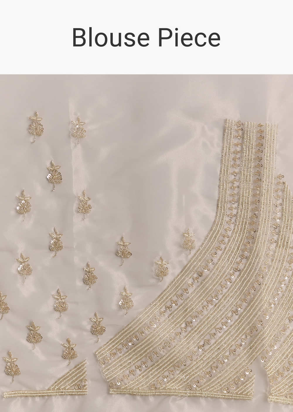 Beige Tissue Saree With Floral Embroidery And Beadwork