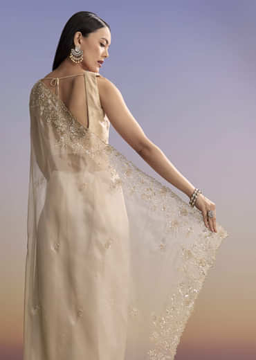 Beige Tissue Saree With Floral Embroidery And Beadwork