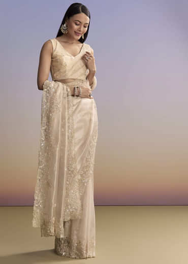 Beige Tissue Saree With Floral Embroidery And Beadwork