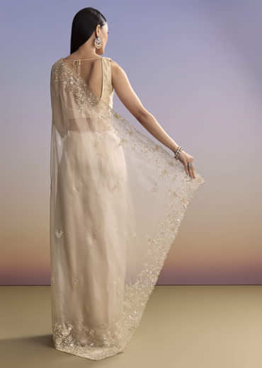 Beige Tissue Saree With Floral Embroidery And Beadwork