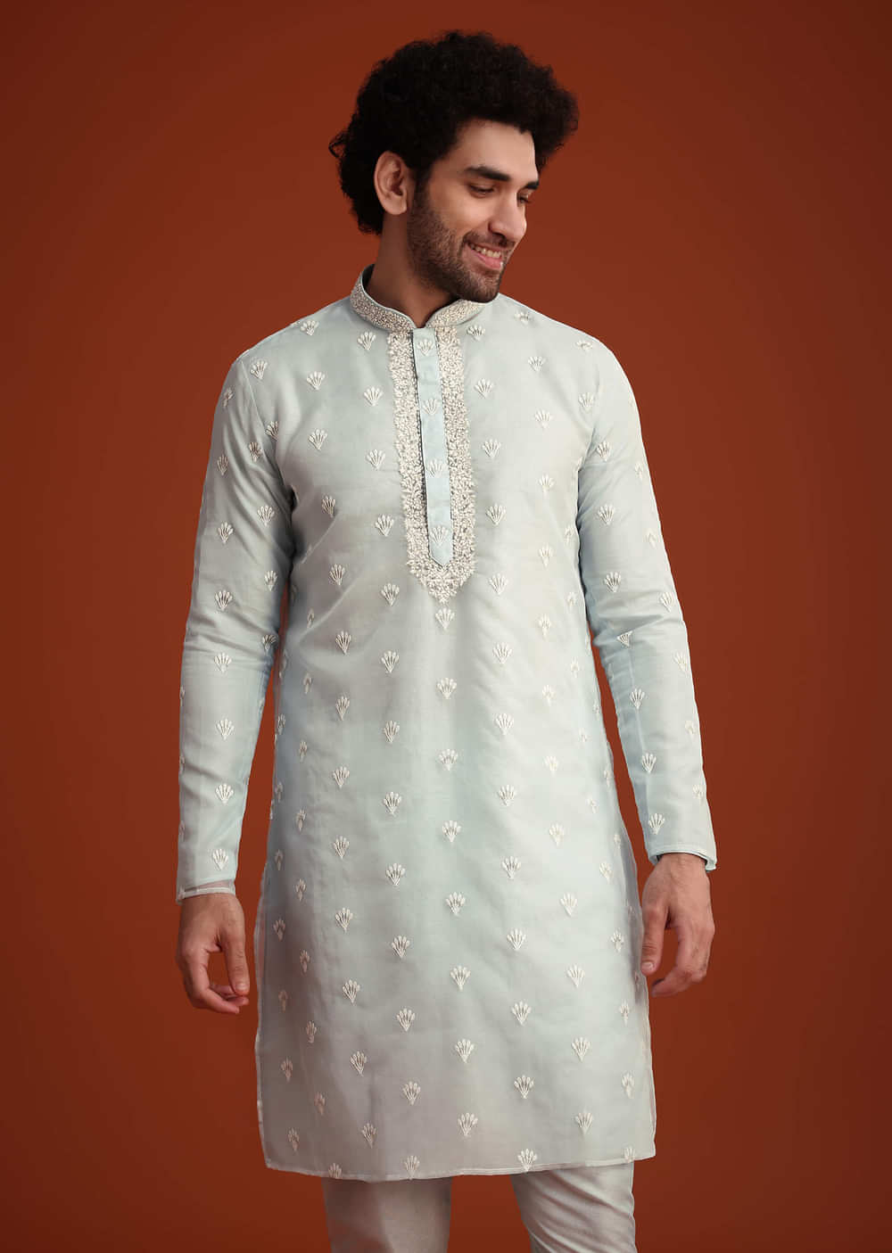 Blue Organza Aligarhi Kurta With Zari Embroidery