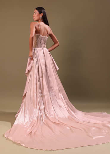 Blush Pink Embroidered Organza Gown