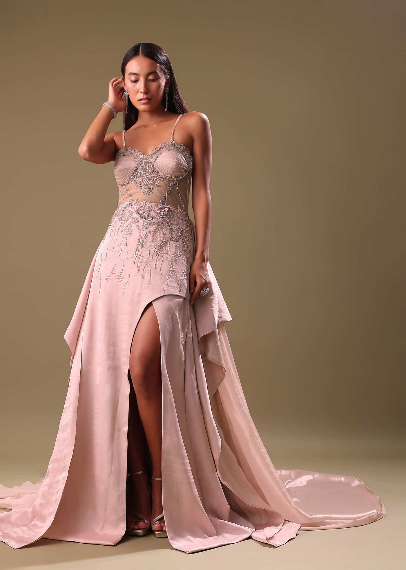 Blush Pink Embroidered Organza Gown