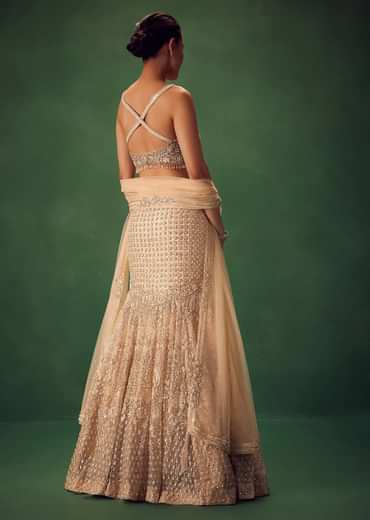 Blush Pink Fish Cut Sequin Lehenga Set