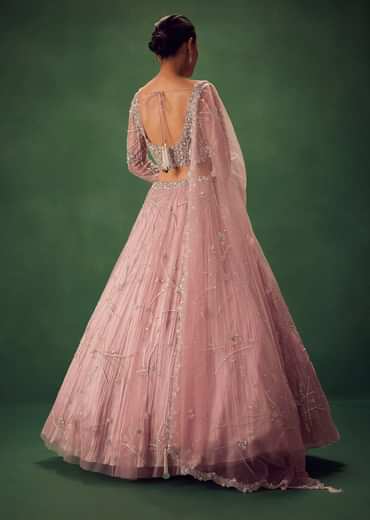Blush Pink Hand Embroidered Lehenga Set