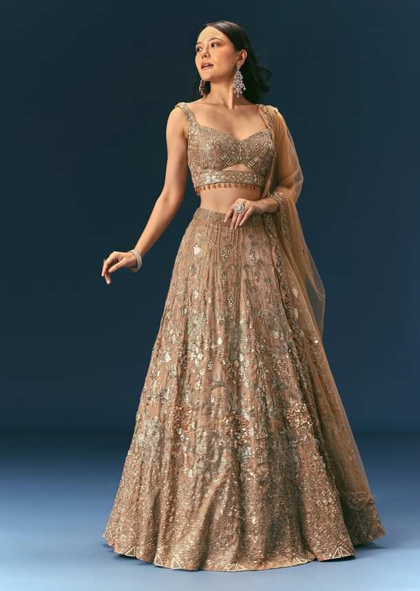 Bronze Organza Lehenga Set With Hand Work
