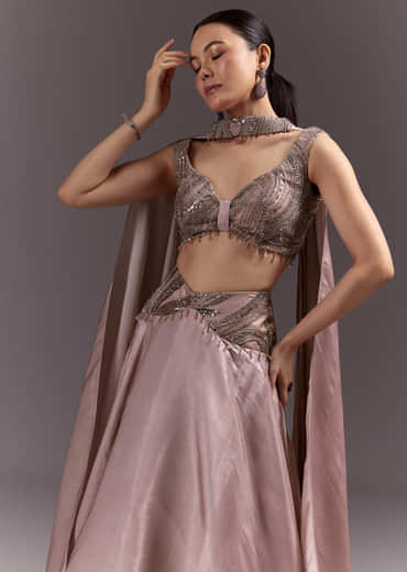 Brown Organza Lehenga With Sweetheart Neck Blouse And Choker Dupatta