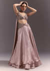 Brown Organza Lehenga With Sweetheart Neck Blouse And Choker Dupatta