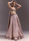 Brown Organza Lehenga With Sweetheart Neck Blouse And Choker Dupatta