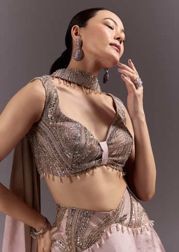 Brown Organza Lehenga With Sweetheart Neck Blouse And Choker Dupatta