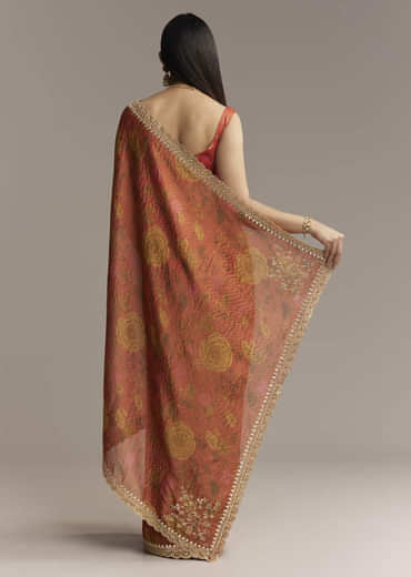 Brown Red Tissue Saree With Mirror And Zari Work