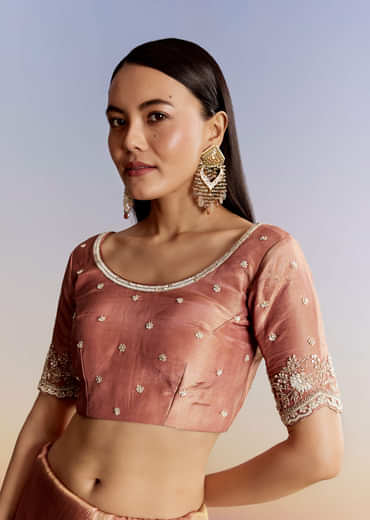 Brown Rust Crush Tissue Saree With Gota And Beads Embroidery