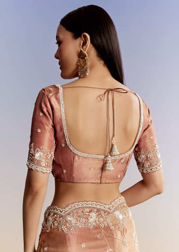 Brown Rust Crush Tissue Saree With Gota And Beads Embroidery