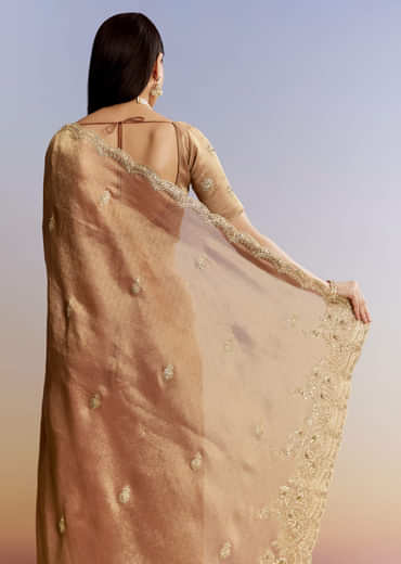 Brown Rust Tissue Saree With Moti Beads And Sequins