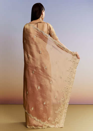 Brown Rust Tissue Saree With Moti Beads And Sequins