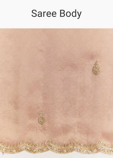 Brown Rust Tissue Saree With Moti Beads And Sequins