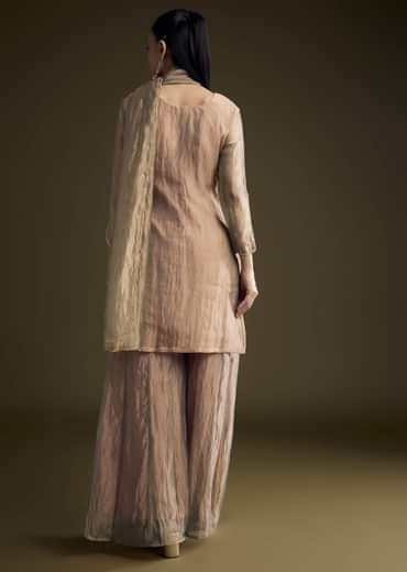 Brown Tissue Palazzo Suit With Sequins And Cutdana Embroidery