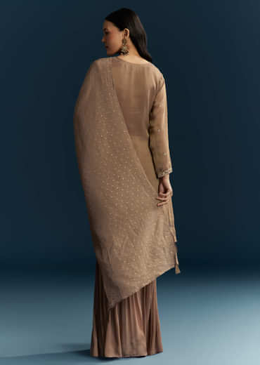 Brown Tissue Sharara Suit With Zardosi And Thread Work