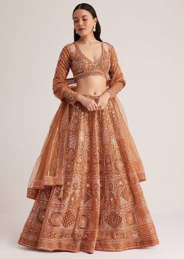 Brown Embellished Lehenga Set With Detailed Embroidery