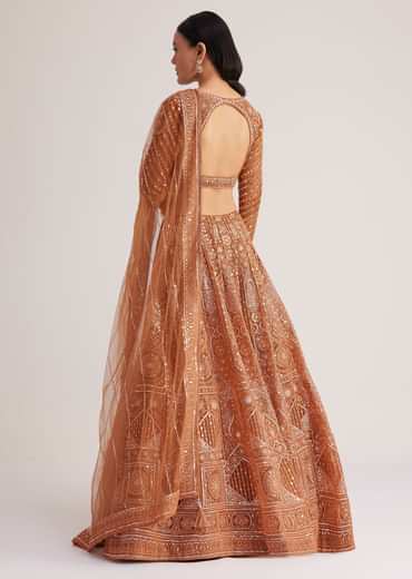 Brown Embellished Lehenga Set With Detailed Embroidery