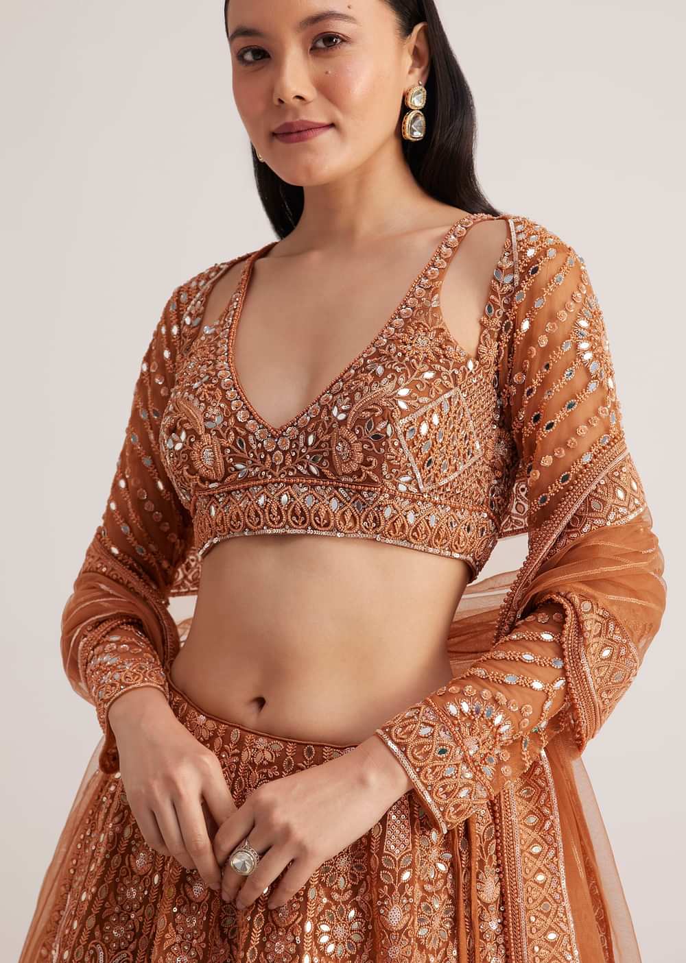 Brown Embellished Lehenga Set With Detailed Embroidery