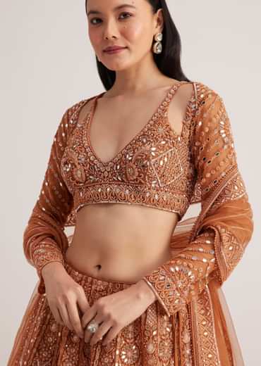 Brown Embellished Lehenga Set With Detailed Embroidery