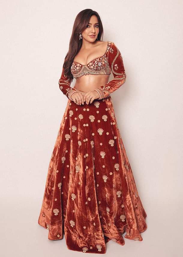 Rust Embroidered Velvet Lehenga And Blouse With Dupatta