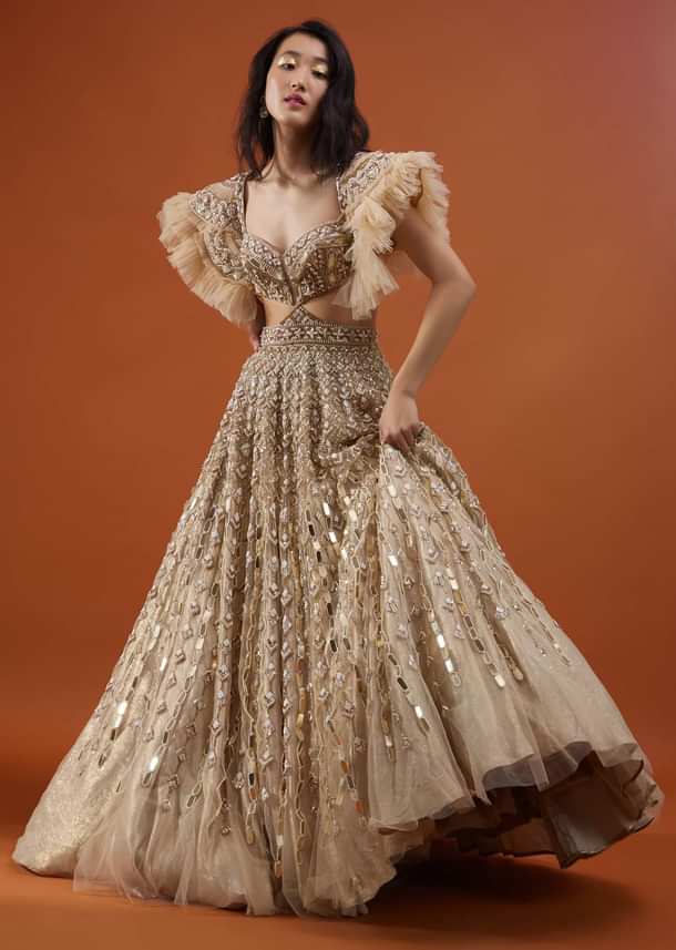 Champagne Gold Angelic Net Gown With Mirror Work And Ruffle Sleeves - NOOR 2022