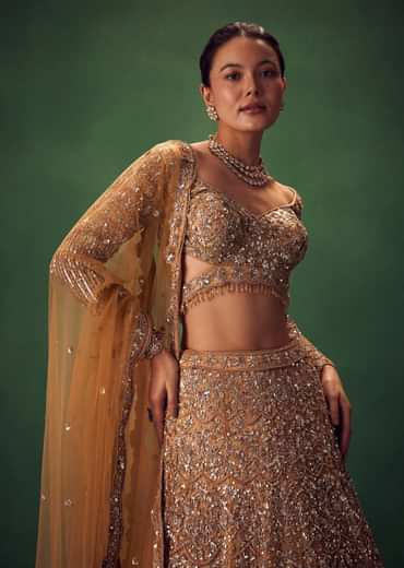 Champagne Gold Hand Embroidered Sequin Work Lehenga Set