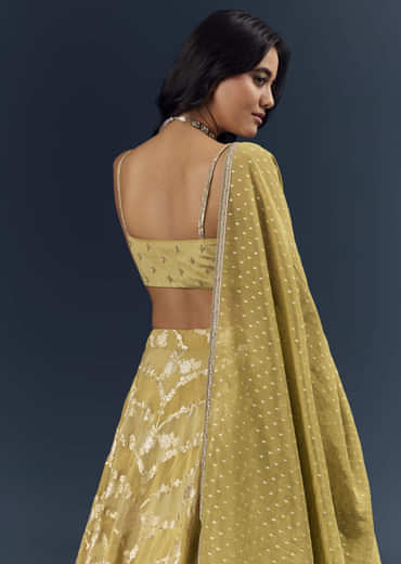 Citrus Green Banarasi Silk Bridesmaid Lehenga With Heavy Hand Embroidery