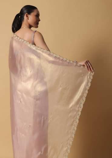 Copper Brown Foil Saree In Tissue With Cut Dana Embroidered Borders