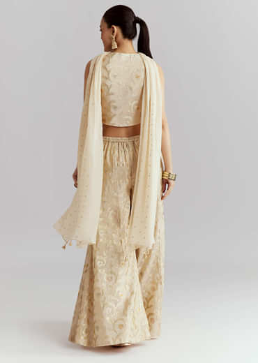 Cream Tissue Crop Top And Palazzo Pant Set With Embroidery