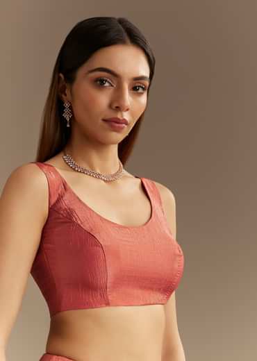 Rust Brown Crushed Tissue Saree With Scallop Border And Stone Embroidery