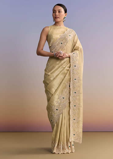 Gold Beige Tissue Saree With Heavy Embroidery