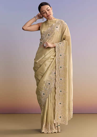 Gold Beige Tissue Saree With Heavy Embroidery