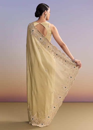 Gold Beige Tissue Saree With Heavy Embroidery
