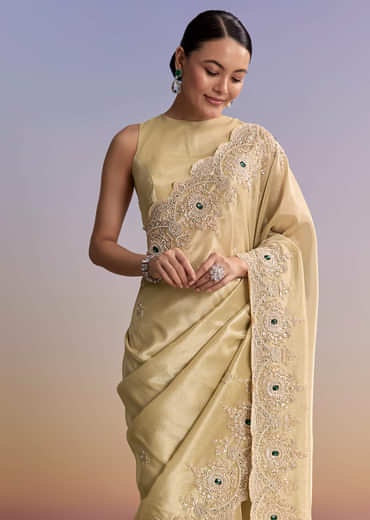 Gold Beige Tissue Saree With Heavy Embroidery