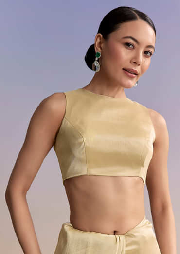 Gold Beige Tissue Saree With Heavy Embroidery