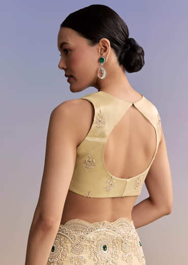 Gold Beige Tissue Saree With Heavy Embroidery