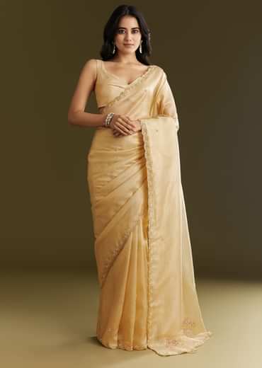 Gold Crushed Tissue Saree With Floral Embroidery And Scallop Border