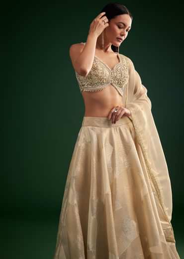 Gold Ivory Sequin Stone Work Choli Lehenga