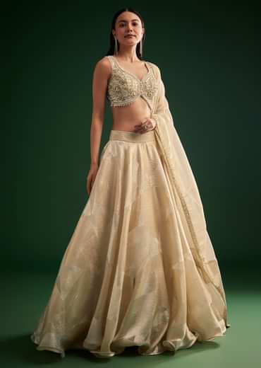 Gold Ivory Sequin Stone Work Choli Lehenga