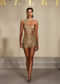 Gold Net Metallic Hand Embroidered Indo Western Bodysuit And Mini Skirt