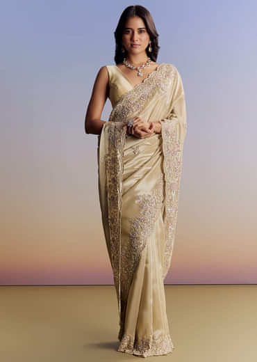 Gold Tissue Saree With Cut Dana Embroidery