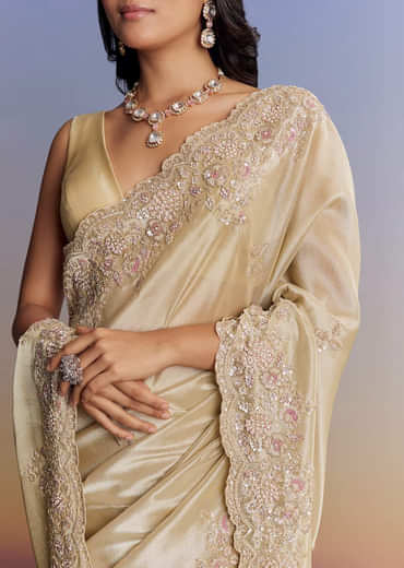 Gold Tissue Saree With Cut Dana Embroidery